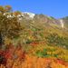 20061015_tsugaiketrip_04